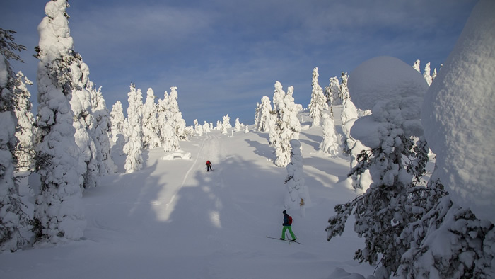 Faire du ski en Laponie finlandaise